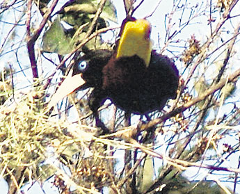 haga click para ampliar la imagen