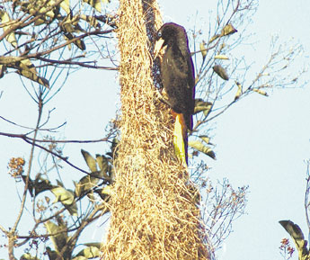 haga click para ampliar la imagen