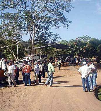 Imagen foto