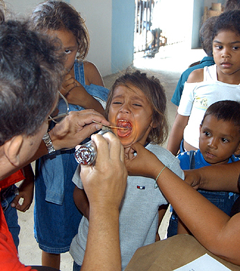 Imagen foto