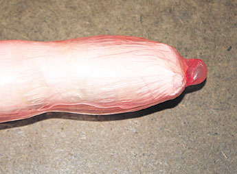 haga click para ampliar la imagen