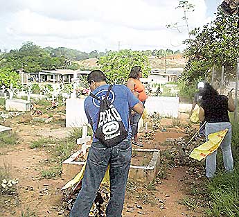 Imagen foto