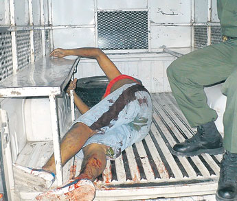 haga click para ampliar la imagen