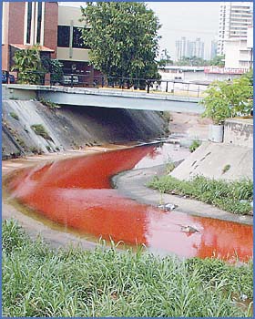 Imagen foto