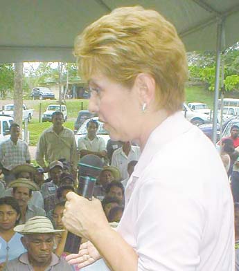Imagen foto