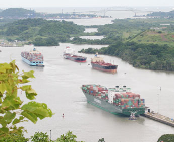 haga click para ampliar la imagen