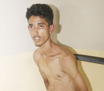 haga click para ampliar la imagen