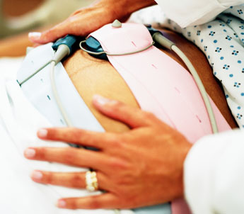 haga click para ampliar la imagen