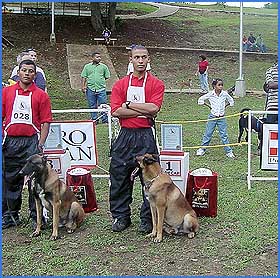 Imagen foto