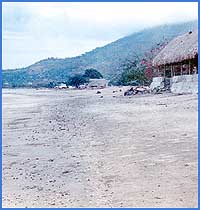 Imagen foto