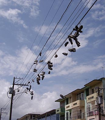 Imagen foto
