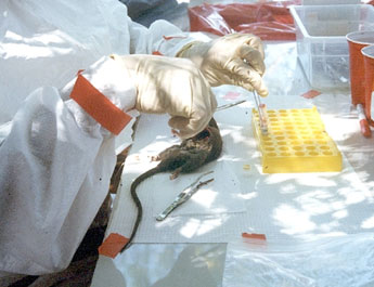 haga click para ampliar la imagen