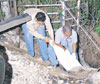 haga click para ampliar la imagen