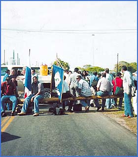 Imagen foto