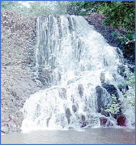 Imagen foto