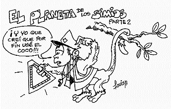 Imagen foto