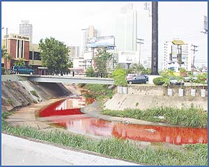 Imagen foto