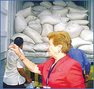 Imagen foto