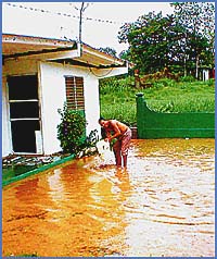 Imagen foto