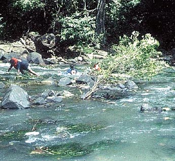 Imagen foto