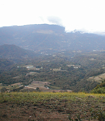 Imagen foto