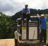 Imagen foto
