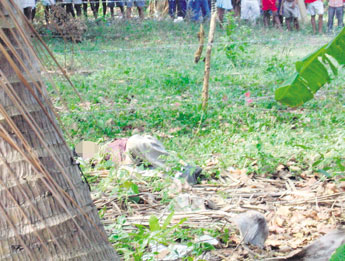 haga click para ampliar la imagen