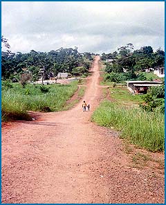 Imagen foto