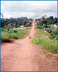 Imagen foto