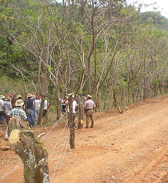 Imagen foto