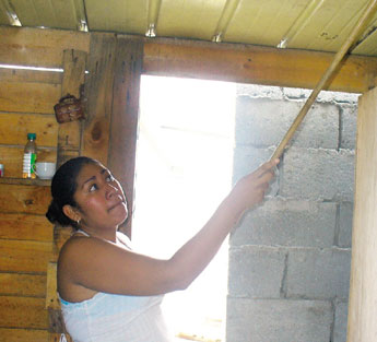 haga click para ampliar la imagen