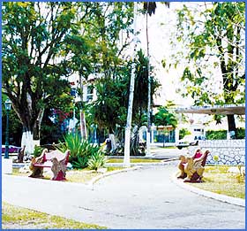 Imagen foto