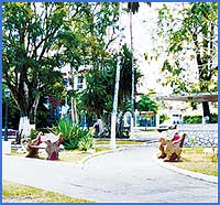 Imagen foto