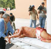 haga click para ampliar la imagen