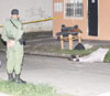 haga click para ampliar la imagen