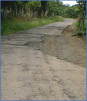 Imagen foto