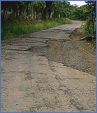 Imagen foto