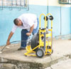 haga click para ampliar la imagen