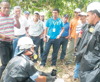 haga click para ampliar la imagen