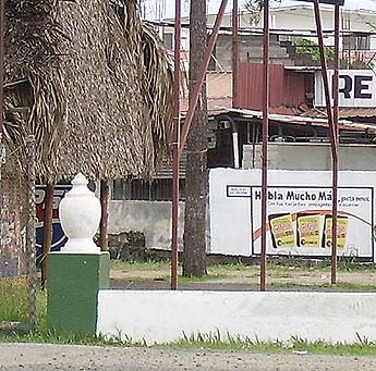Imagen foto