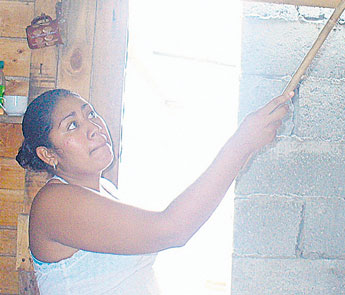 haga click para ampliar la imagen