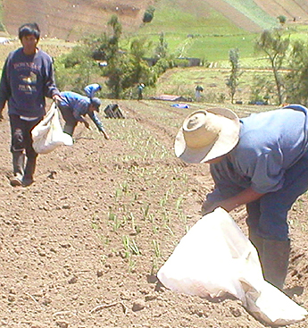 Imagen foto