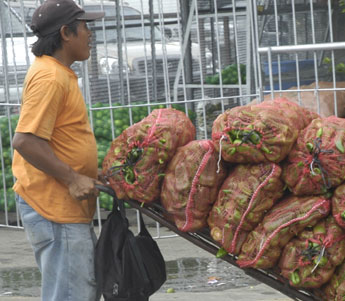 haga click para ampliar la imagen