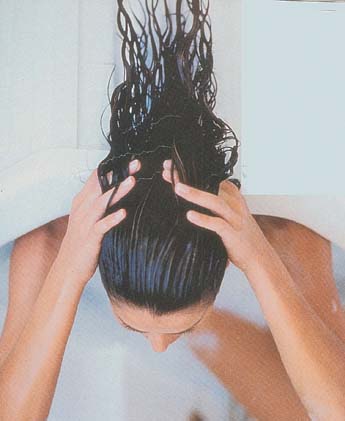 Imagen foto