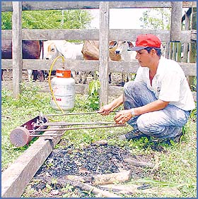 Imagen foto