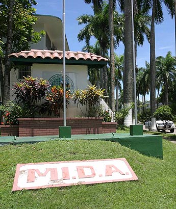Imagen foto