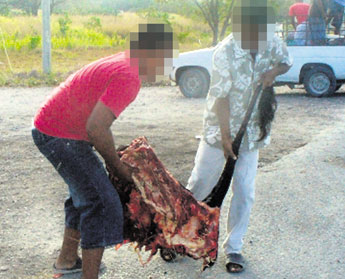 haga click para ampliar la imagen