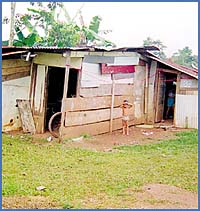 Imagen foto
