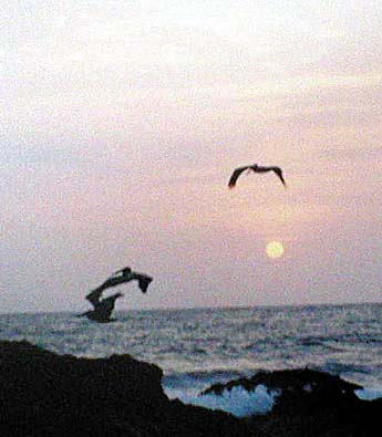 Imagen foto