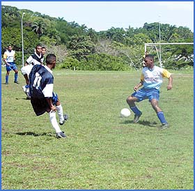 Imagen foto